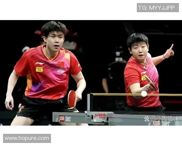 北京乒乓球队阵地战解析:从战术布局到选手表现的全面解读 北京乒乓球队阵地战解析:从战术布局到选手表现的全面解读