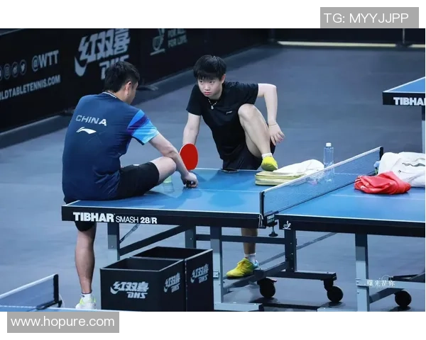 杭州乒乓球队比赛经验引发热议专家与球迷观点碰撞分析 杭州乒乓球队比赛经验引发热议专家与球迷观点碰撞分析