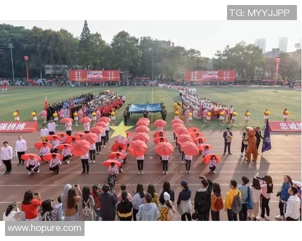 深圳排球队在洲际杯上的拼搏历程与荣耀时刻全景回顾