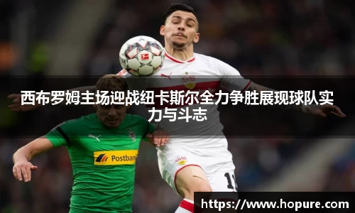 竞技宝官网