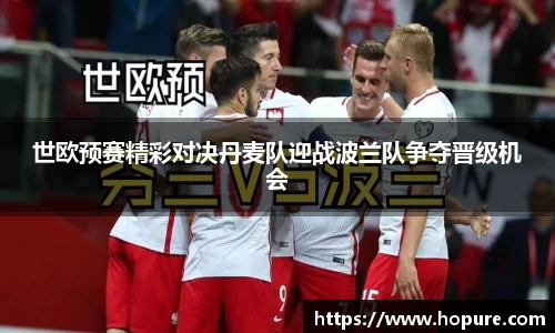 世欧预赛精彩对决丹麦队迎战波兰队争夺晋级机会