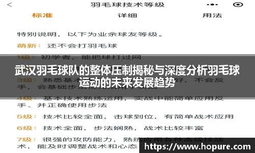 武汉羽毛球队的整体压制揭秘与深度分析羽毛球运动的未来发展趋势